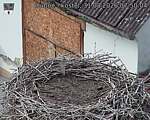Capi_Dubne_20260831_075004.jpg