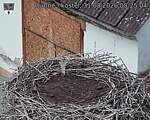 Capi_Dubne_20260831_082504.jpg