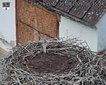 Capi_Dubne_20260831_083504.jpg