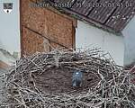 Capi_Dubne_20260831_084504.jpg