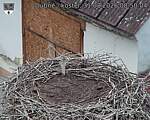 Capi_Dubne_20260831_085004.jpg