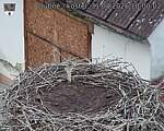Capi_Dubne_20260831_100002.jpg