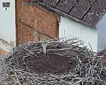 Capi_Dubne_20260831_111503.jpg