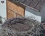 Capi_Dubne_20260831_143002.jpg