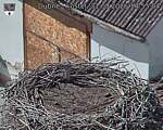 Capi_Dubne_20260831_145504.jpg