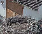 Capi_Dubne_20260831_160503.jpg