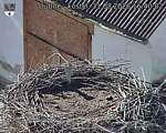 Capi_Dubne_20260831_164002.jpg