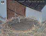 Capi_Dubne_20260831_185003.jpg