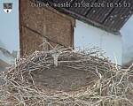 Capi_Dubne_20260831_185503.jpg