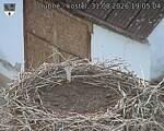 Capi_Dubne_20260831_190504.jpg