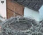 Capi_Dubne_20260831_200002.jpg