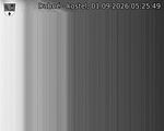 Capi_Dubne_20260901_052549.jpg