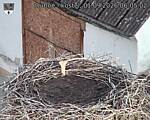 Capi_Dubne_20260901_060502.jpg