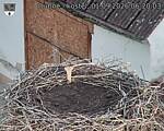 Capi_Dubne_20260901_062003.jpg