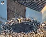 Capi_Dubne_20260901_064003.jpg