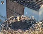 Capi_Dubne_20260901_064503.jpg