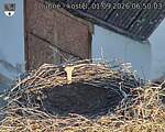Capi_Dubne_20260901_065003.jpg