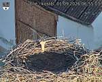 Capi_Dubne_20260901_065503.jpg