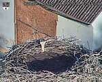 Capi_Dubne_20260901_071504.jpg