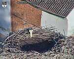 Capi_Dubne_20260901_072003.jpg