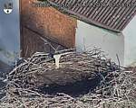 Capi_Dubne_20260901_073003.jpg