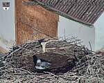 Capi_Dubne_20260901_075503.jpg