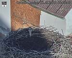 Capi_Dubne_20260901_081503.jpg