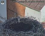 Capi_Dubne_20260901_083003.jpg