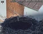 Capi_Dubne_20260901_084503.jpg