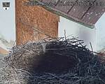 Capi_Dubne_20260901_085003.jpg
