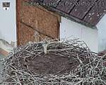 Capi_Dubne_20260901_102003.jpg