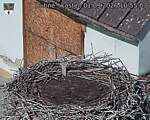 Capi_Dubne_20260901_105503.jpg