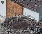 Capi_Dubne_20260901_114003.jpg