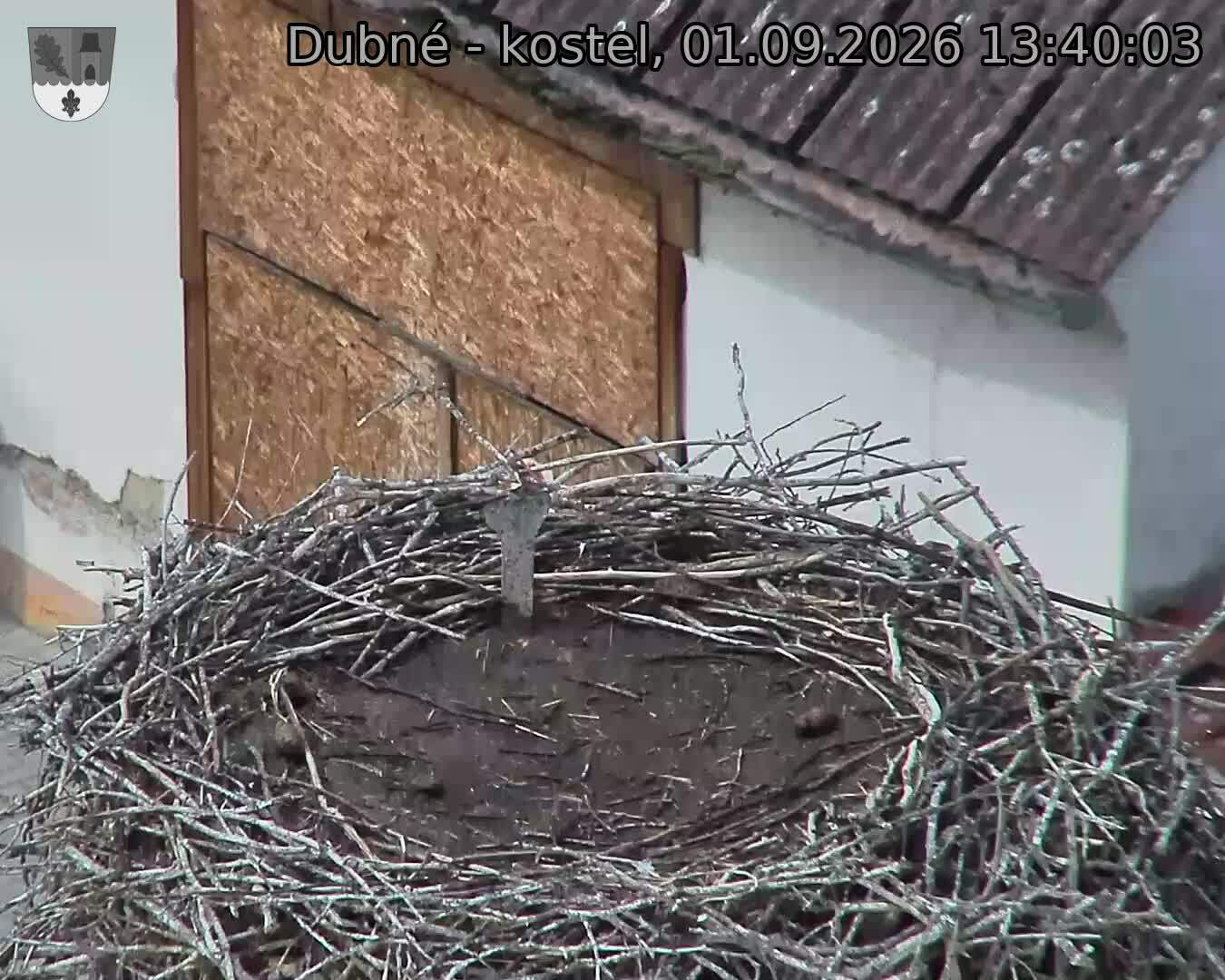 Capi_Dubne_20260901_134003.jpg (1350&nbsp;x&nbsp;1080)