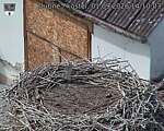 Capi_Dubne_20260901_141003.jpg