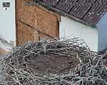 Capi_Dubne_20260901_141503.jpg