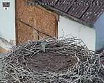 Capi_Dubne_20260901_142003.jpg