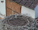 Capi_Dubne_20260901_142503.jpg