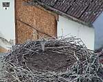 Capi_Dubne_20260901_143004.jpg