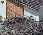 Capi_Dubne_20260901_144503.jpg