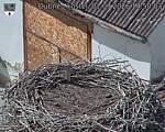 Capi_Dubne_20260901_145003.jpg