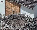 Capi_Dubne_20260901_145503.jpg