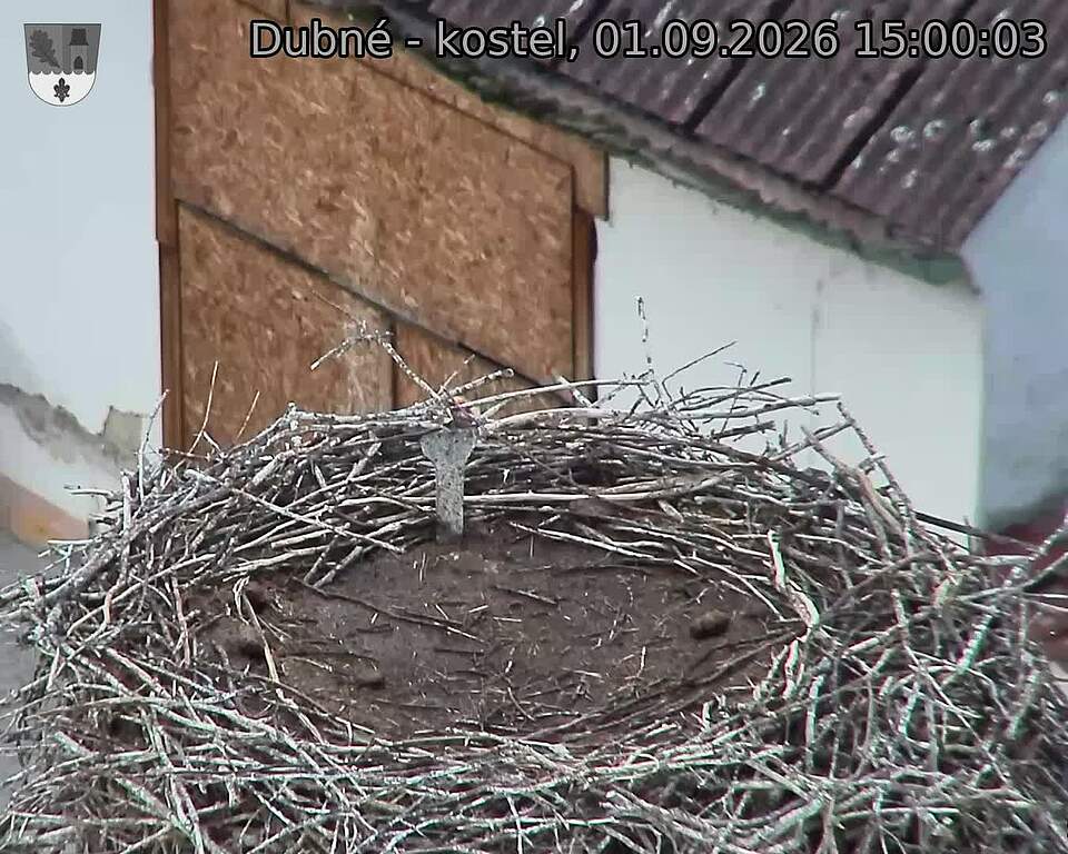preload