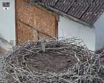 Capi_Dubne_20260901_153003.jpg