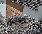 Capi_Dubne_20260901_154503.jpg