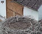 Capi_Dubne_20260901_155503.jpg