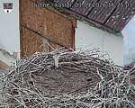 Capi_Dubne_20260901_162503.jpg