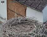 Capi_Dubne_20260901_164003.jpg
