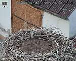 Capi_Dubne_20260901_165503.jpg