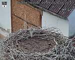 Capi_Dubne_20260901_172003.jpg